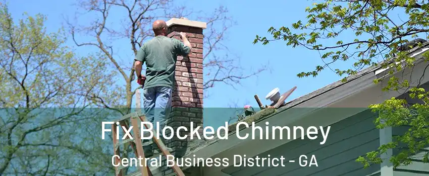 Fix Blocked Chimney Central Business District - GA