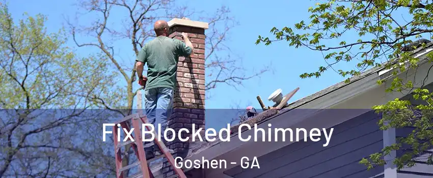 Fix Blocked Chimney Goshen - GA