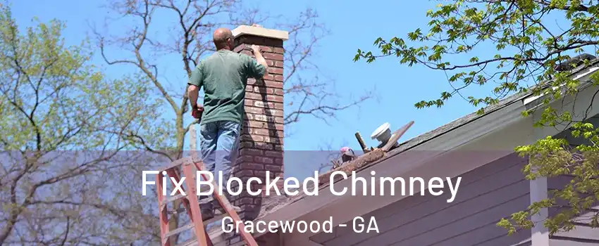 Fix Blocked Chimney Gracewood - GA