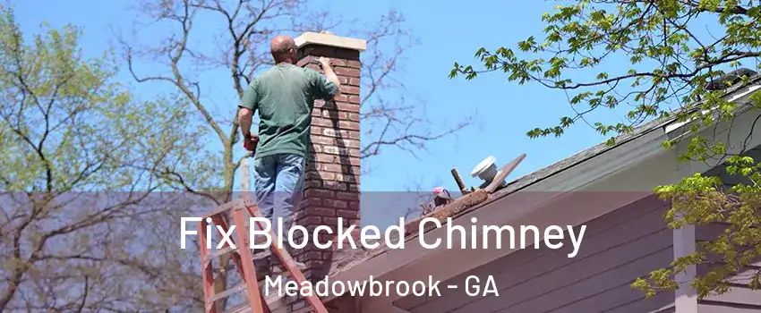 Fix Blocked Chimney Meadowbrook - GA