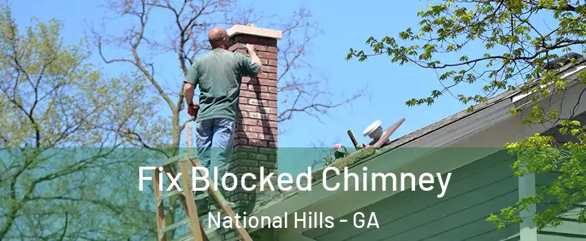 Fix Blocked Chimney National Hills - GA