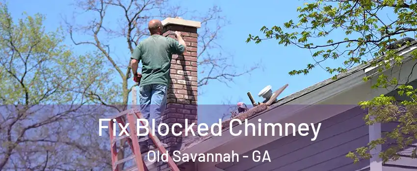 Fix Blocked Chimney Old Savannah - GA
