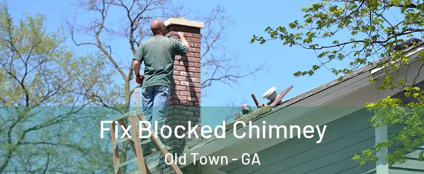 Fix Blocked Chimney Old Town - GA