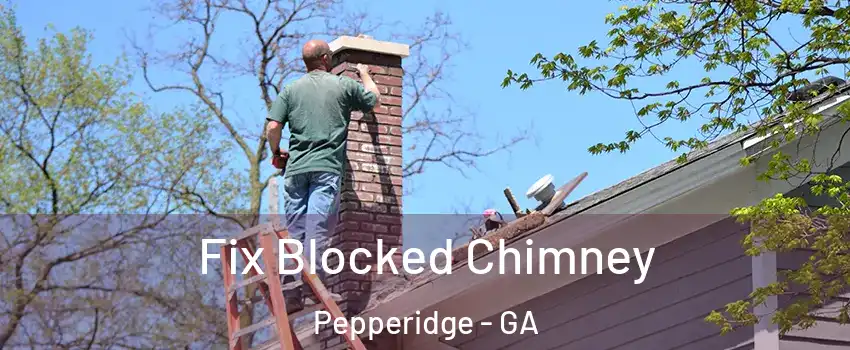 Fix Blocked Chimney Pepperidge - GA