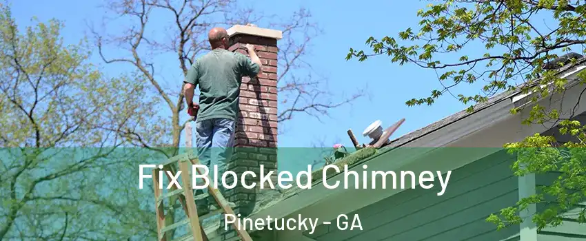 Fix Blocked Chimney Pinetucky - GA