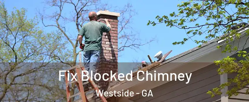 Fix Blocked Chimney Westside - GA
