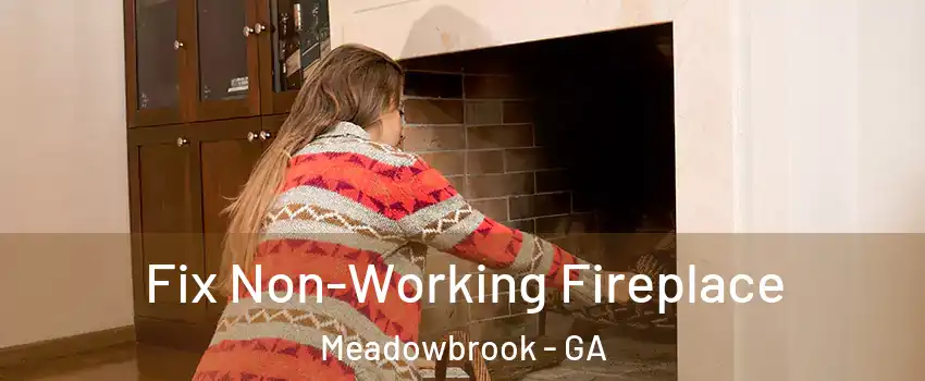 Fix Non-Working Fireplace Meadowbrook - GA
