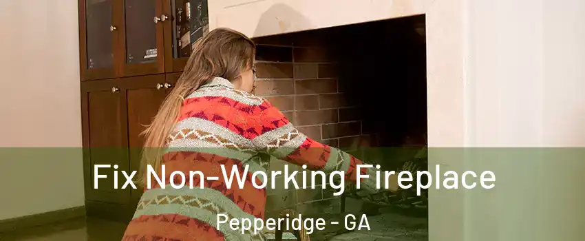 Fix Non-Working Fireplace Pepperidge - GA