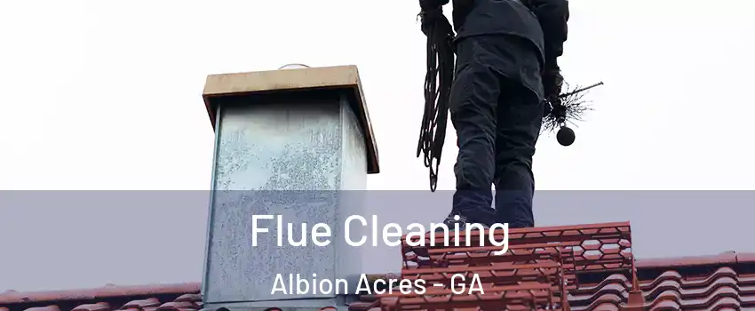 Flue Cleaning Albion Acres - GA