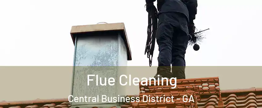Flue Cleaning Central Business District - GA