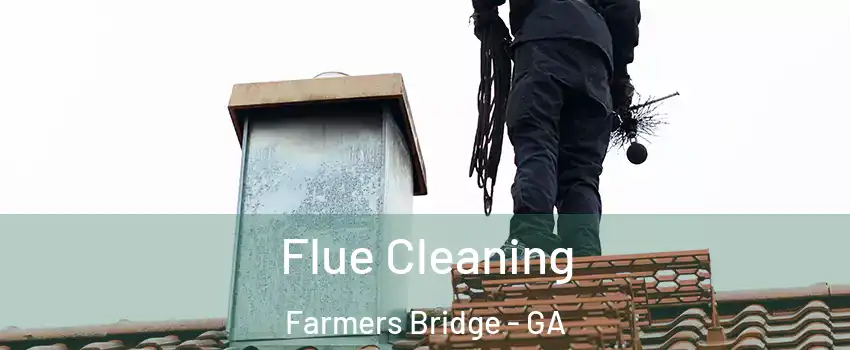 Flue Cleaning Farmers Bridge - GA