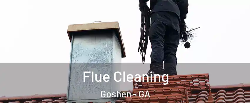Flue Cleaning Goshen - GA