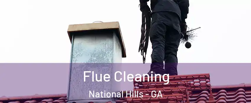 Flue Cleaning National Hills - GA