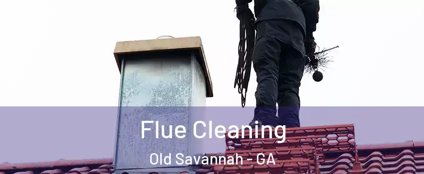Flue Cleaning Old Savannah - GA