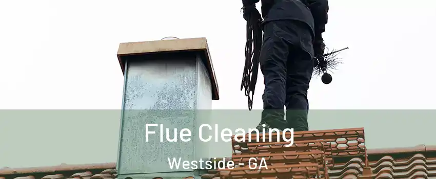 Flue Cleaning Westside - GA
