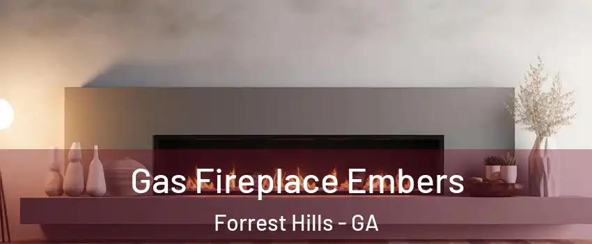 Gas Fireplace Embers Forrest Hills - GA