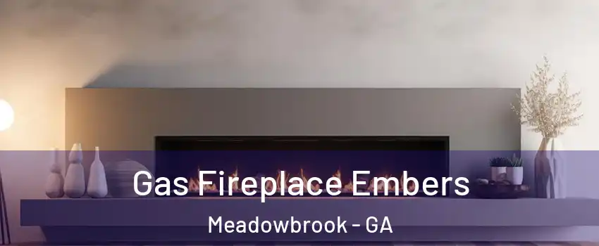 Gas Fireplace Embers Meadowbrook - GA