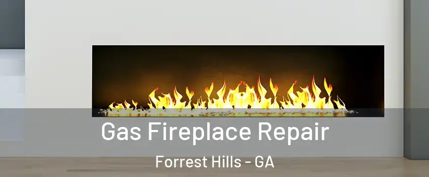 Gas Fireplace Repair Forrest Hills - GA