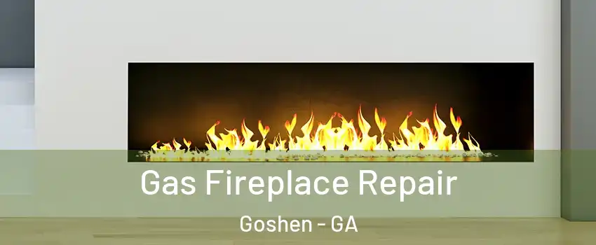 Gas Fireplace Repair Goshen - GA