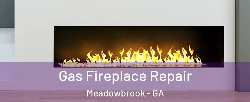 Gas Fireplace Repair Meadowbrook - GA