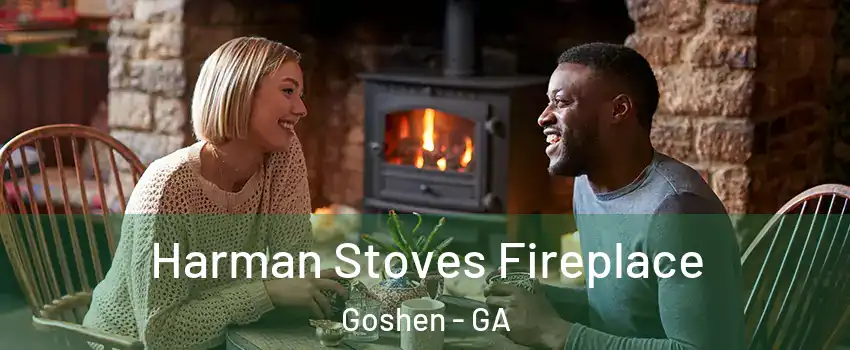 Harman Stoves Fireplace Goshen - GA