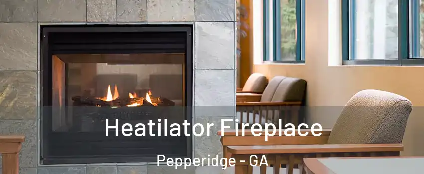 Heatilator Fireplace Pepperidge - GA