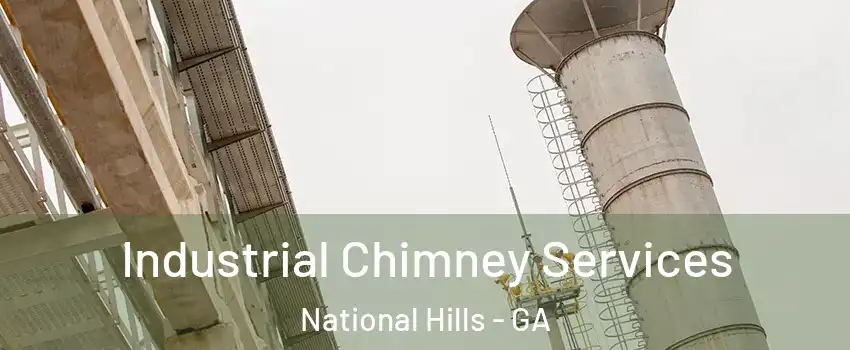 Industrial Chimney Services National Hills - GA