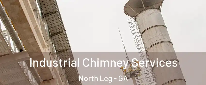 Industrial Chimney Services North Leg - GA