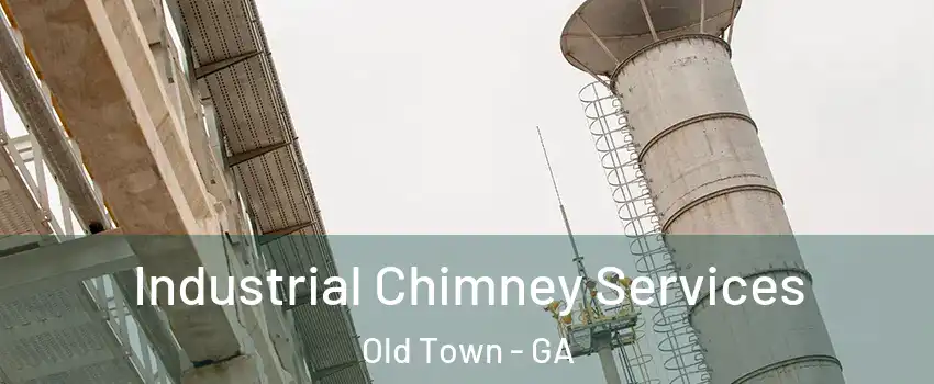 Industrial Chimney Services Old Town - GA