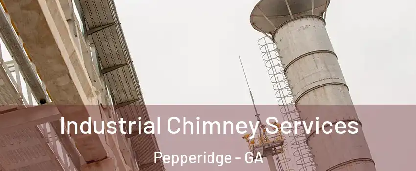 Industrial Chimney Services Pepperidge - GA
