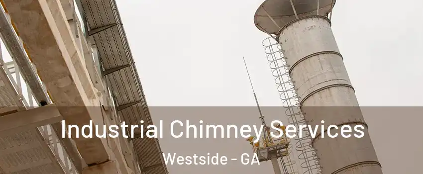 Industrial Chimney Services Westside - GA