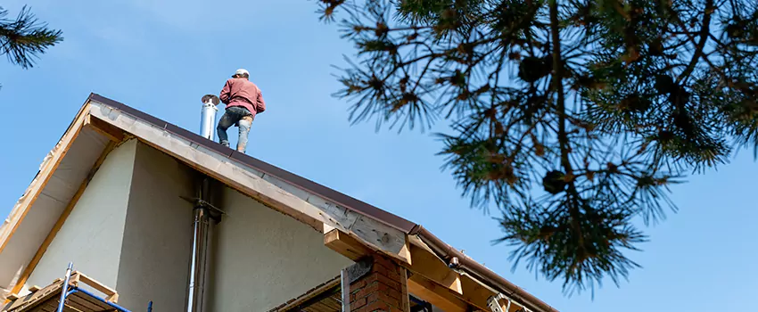 Birds Removal Contractors from Chimney in West End, GA