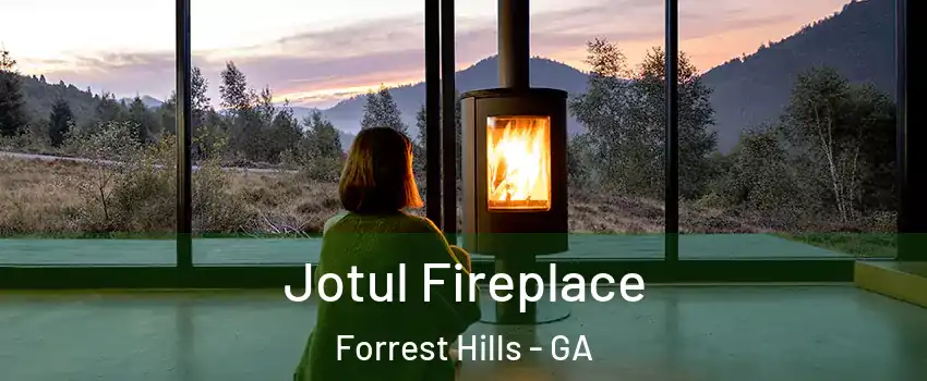 Jotul Fireplace Forrest Hills - GA