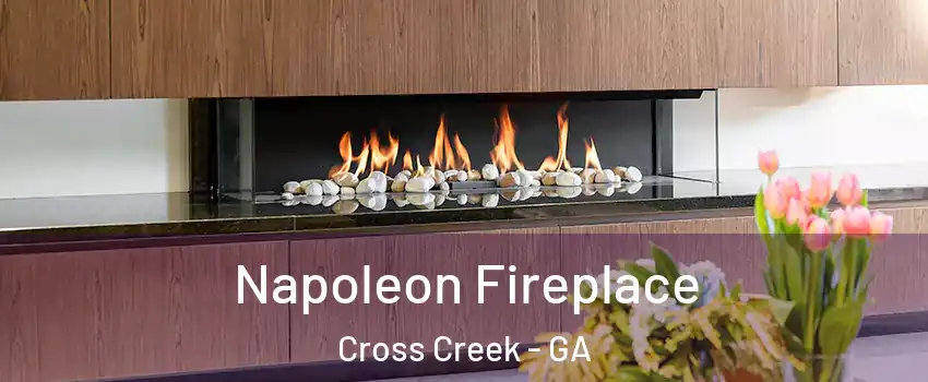 Napoleon Fireplace Cross Creek - GA