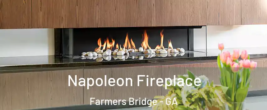 Napoleon Fireplace Farmers Bridge - GA