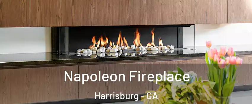 Napoleon Fireplace Harrisburg - GA