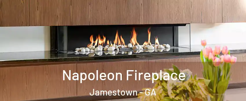 Napoleon Fireplace Jamestown - GA