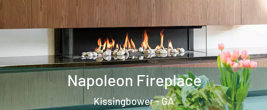 Napoleon Fireplace Kissingbower - GA