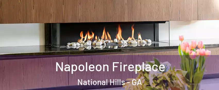 Napoleon Fireplace National Hills - GA
