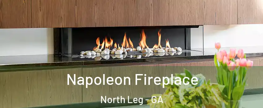 Napoleon Fireplace North Leg - GA