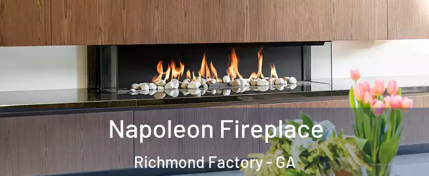 Napoleon Fireplace Richmond Factory - GA