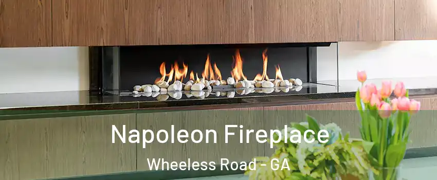 Napoleon Fireplace Wheeless Road - GA