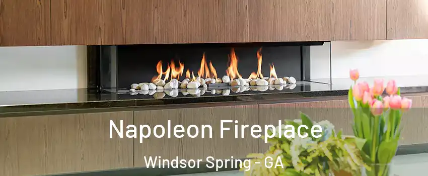 Napoleon Fireplace Windsor Spring - GA