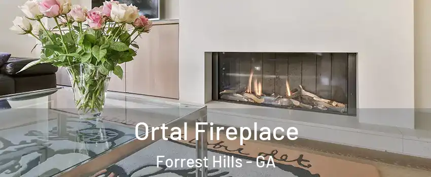 Ortal Fireplace Forrest Hills - GA