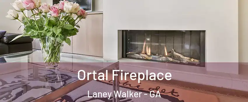 Ortal Fireplace Laney Walker - GA