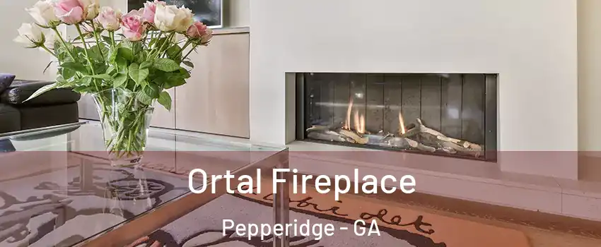 Ortal Fireplace Pepperidge - GA
