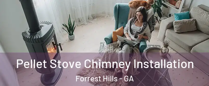 Pellet Stove Chimney Installation Forrest Hills - GA