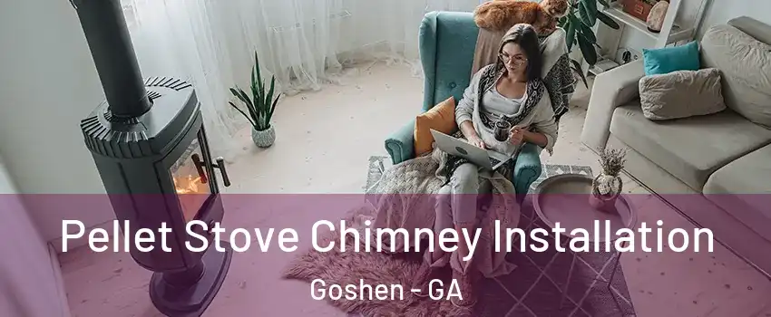 Pellet Stove Chimney Installation Goshen - GA