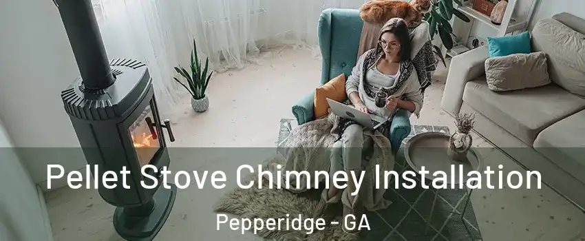 Pellet Stove Chimney Installation Pepperidge - GA
