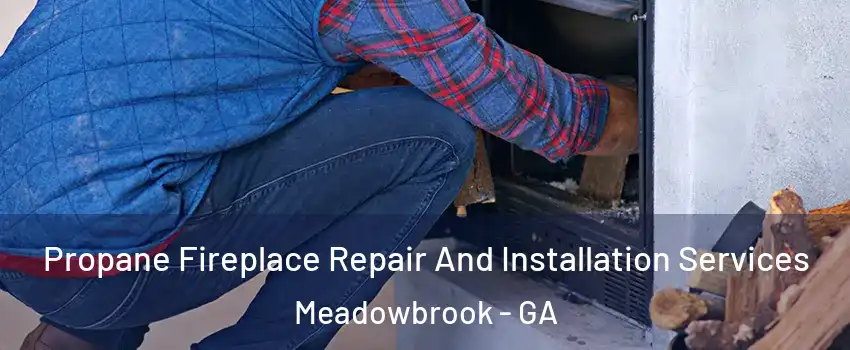 Propane Fireplace Repair And Installation Services Meadowbrook - GA